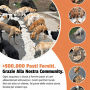 Collana solidale - immagine informativa Salva Zampe 3
