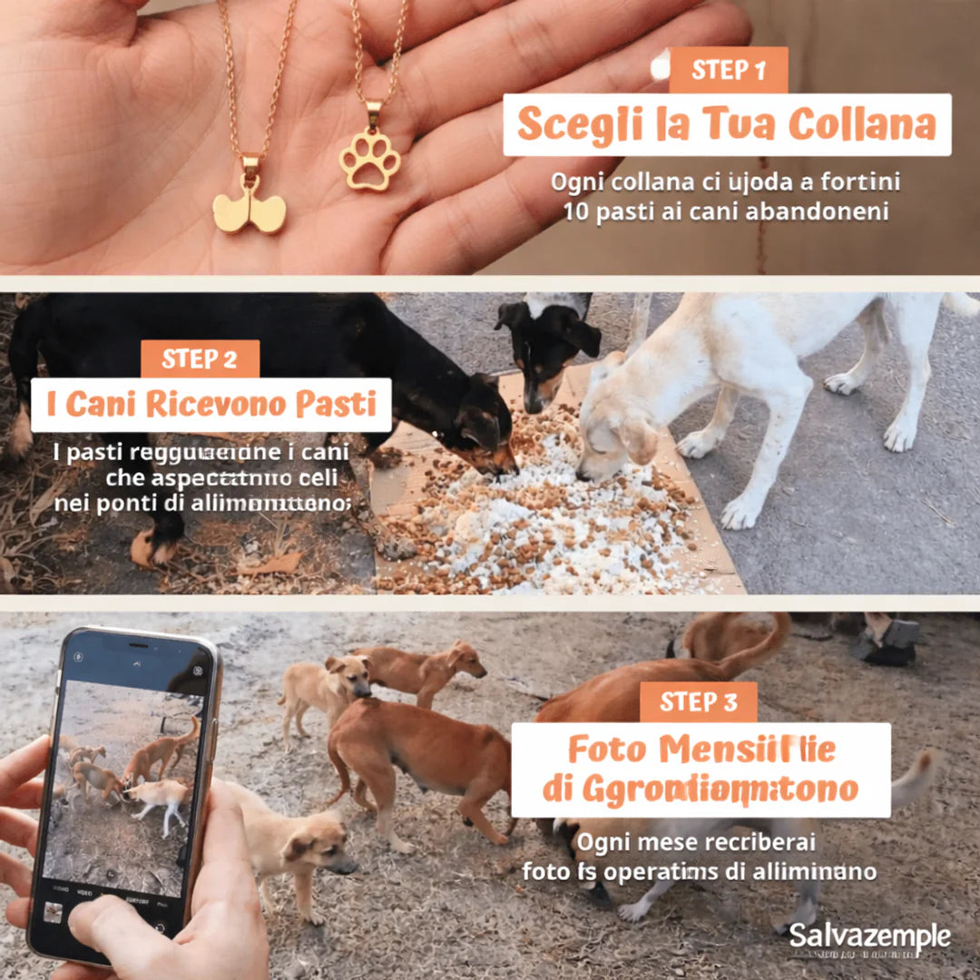 Contenuto dell'ordine SalvaZampe