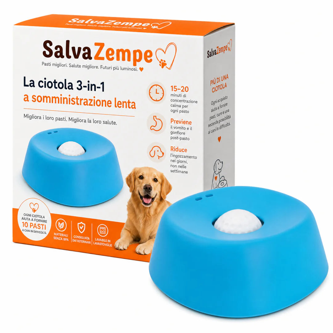 Ciotola Anti-Ingordo 3 in 1