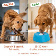 Ciotola Anti-Ingordo 3 in 1