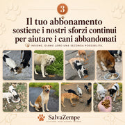 Club Mensile Salva Zampe