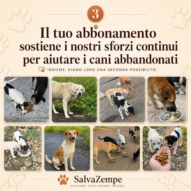 Club Mensile Salva Zampe