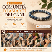 Club Mensile Salva Zampe