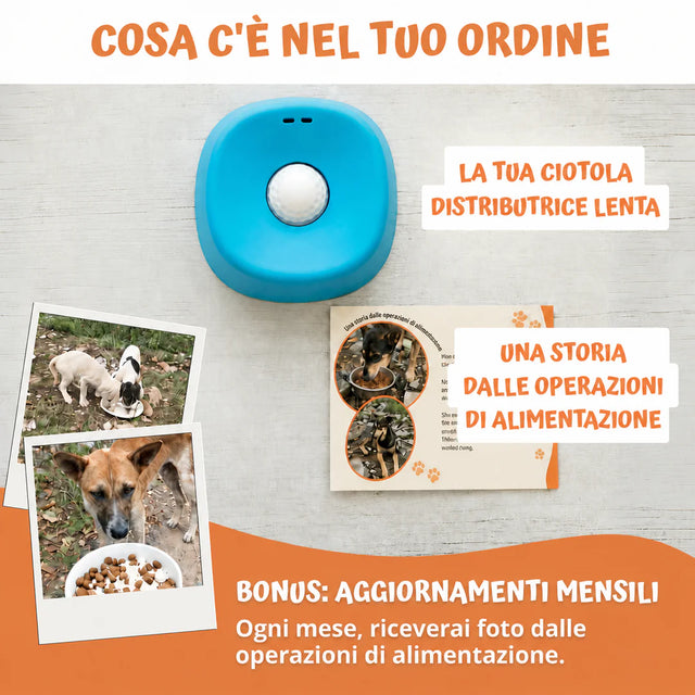 Ciotola Anti-Ingordo 3 in 1