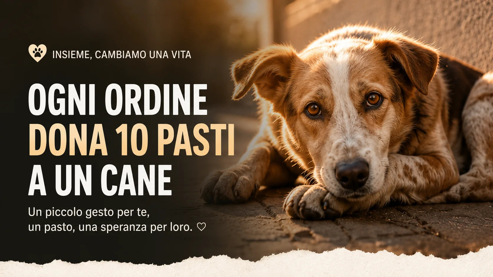 Ogni ordine SalvaZampe dona 10 pasti