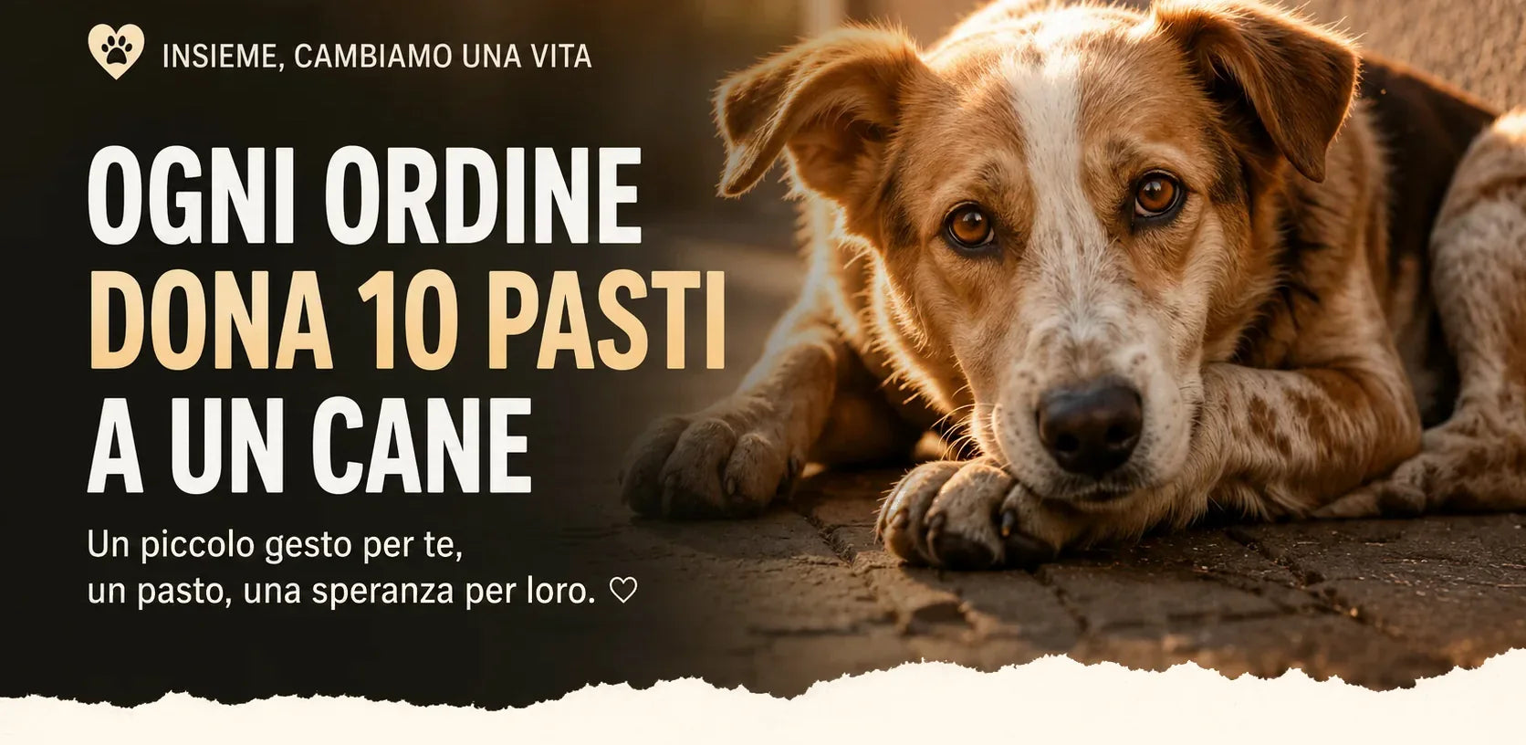 Ogni ordine SalvaZampe dona 10 pasti